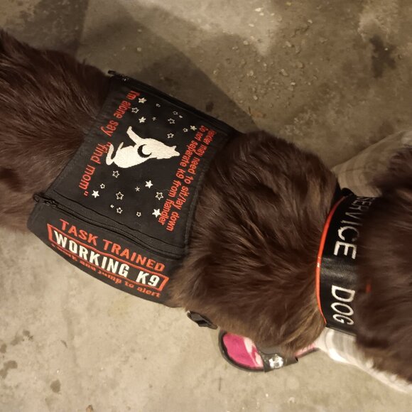 Service dog gear set